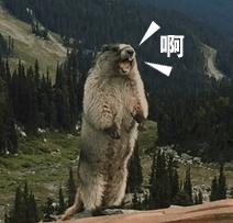 DƬ